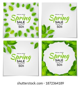 Natural Light Spring Sale Collection Set Poster Banner Background with Green Sunny Leaves. Template Set for advertising, web, social media and fashion ads. Vector Illustration.