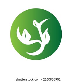 diseño de logotipo natural e imagen