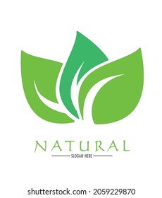Vector de diseño de logotipo natural. Logotipo orgánico. Logo de la naturaleza. Hojas verdes 
