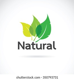 Natural logo design vector template on white background. Leaf icon