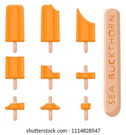 Natural logo for sea buckthorn ice cream sorbet in different form. Sea Buckthorn pattern consisting of cold ice cream sorbet tasty frozen dessert. Fresh taste fruit ice cream sorbet from sea buckthorn