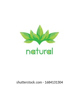 Natural Logo Template - with treee leaf