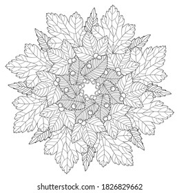 Natural mandala of oak, birch, aspen leaves, berries with simple patterns on white isolated background. For coloring book pages.