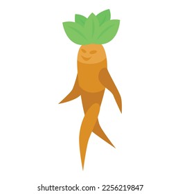 Natural mandrake icon isometric vector. Green leaf. Hand garden