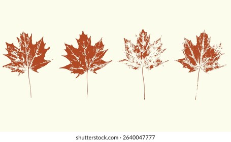 Natural maple leaves imprint, grunge style, vector, isolated, decorative elements for design	