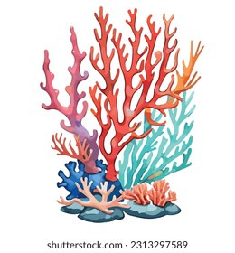 natural marine sea corals art design vector illustrator