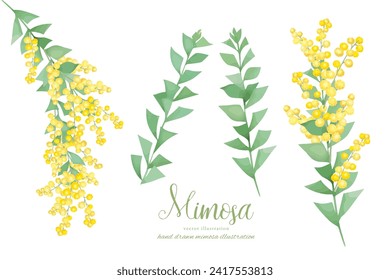 Natürliches Material von Mimosa-Ästen, Blättern und Blumen mit Wasserfarbenberührung