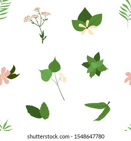 Natural medicine and aromatherapy. Eco, ecological. Vector pattern with flowers and plant on a white background.