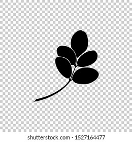natural Moringa leaves icon vector design template