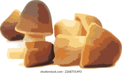 natural mushroom cartoon illustration vector