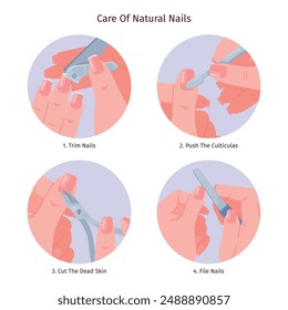 Cuidado natural de las uñas. Guía de manicura de bricolaje que recorta la uña que empuja las cutículas que quitan la piel muerta que rellena la uña bienestar correcto mantenimiento instrucción paso elegante Ilustración vectorial autores gráficos