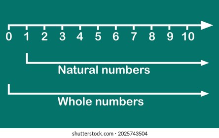 natural numbers and whole numbers line