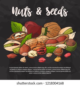 Natural nuts and seeds template. Hand drawn objects for your design. The pattern with space for text. Vector illustration.