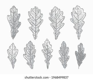 Natural Oak Leaf Print Silhouettes Vector Set. Stamp Tree Leaves. Textured Forest Plants Imprint for Floral Design.