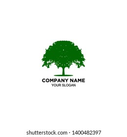 natural oak tree logo design vector