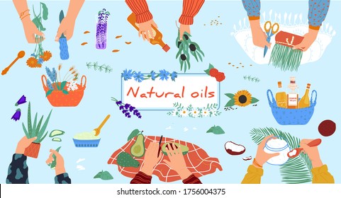 Natural oils workshop, organic handmade cosmetics from eco ingredients, people hands, vector illustration. Hand drawn process of creating essence from flowers, aloe ar avocado. Handcraft hobby cartoon
