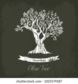 Natural olive oil tree logo for olive grove. Fruit plant with berry and branches. May be used for olive oil tree banner or olive grove logo, ancient greece tree or market badge or liquid shop emblem