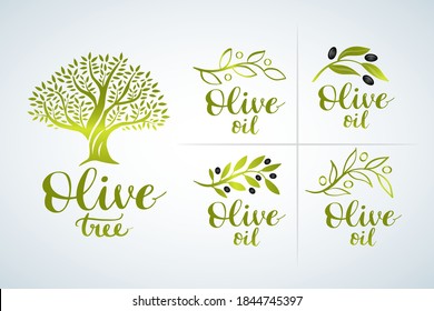 Natural olive oil tree logo for olive grove. Olive Oil Logo set and brush lettering , label, organic product. Vector olive branch with leaf and drupe, vector logo