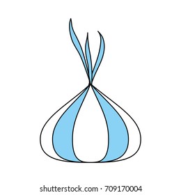 Natural onion vegetable