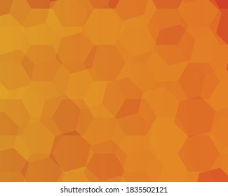 Natural orange background, bee house vector