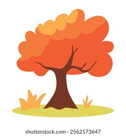Natural Orange Tree in Forest in Autumn Fall Season
