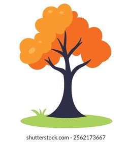 Natural Orange Tree in Forest in Autumn Fall Season