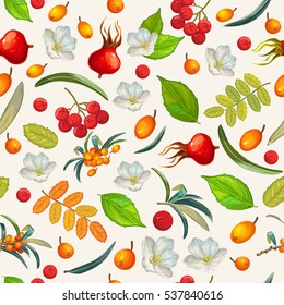 Natural organic berries seamless pattern. Vector illustration.