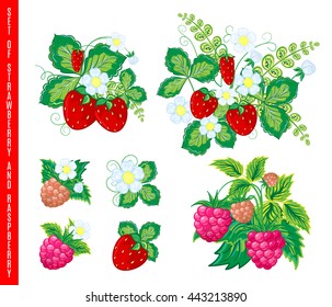 Natural organic berries set of raspberry strawberry colored sketch isolated vector illustration