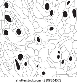 Natural organic cells shapes vector pattern.
Polygonal network texture. 