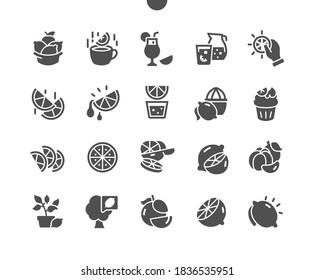 Natural organic citrus fruits. Citrus fruit slices. Grapefruit, orange, lemon and lime. Menu for restaurant and cafe. Vector Solid Icons. Simple Pictogram