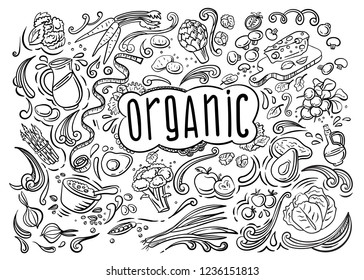 Natural, organic food. Set various doodles, hand drawn quick simple sketches of different kinds of vegetables greens. Vector freehand illustration isolated white background.