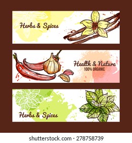 Natural organic herbs and spices horizontal banners set isolated vector illustration