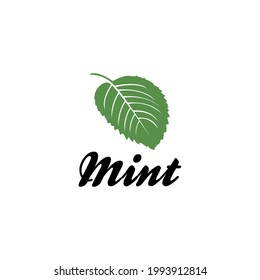 Natural organic leaf mint tea for food herbal logo design