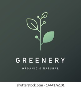 Natural and organic logo in modern design. Natural logo template for branding, corporate identity, packaging and business card. 