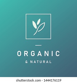 Natural and organic logo in modern design. Natural logo template for branding, corporate identity, packaging and business card. 