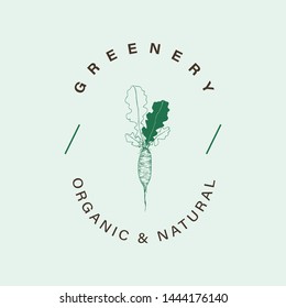 Natural and organic logo in modern design. Natural logo template for branding, corporate identity, packaging and business card. 