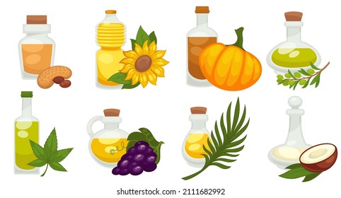 Natural and organic oils, different types of products and vegetables with fruits. Pumpkin and olive, coconut and grapes, hemps and cashew or peanut. Healthy eating and dieting. Vector in flat style