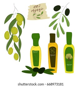 Natural organic olive oil. Hand drawn vector illustration templates for olive oil packaging.