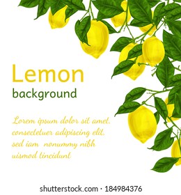 Natural organic ripe juicy lemon tree branch background poster frame template vector illustration