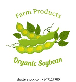 Natural organic soybeans. Eco-friendly vegetarian nutrition. Made in cartoon flat style.