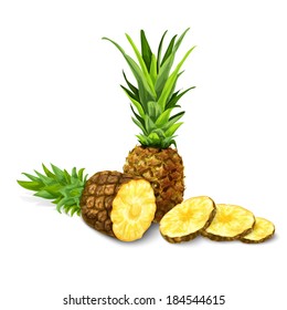 Natural organic sweet cut and sliced pineapple tropical fruit decorative poster or emblem isolated vector illustration