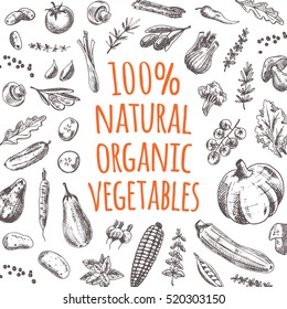 Natural organic vegetables card. Hand drawn vector illustration. Can be used for farmers market, poster, banner, sticker, placard and other. Carrot, zucchini, avocado, fennel, leek, lettuce, eggplant.