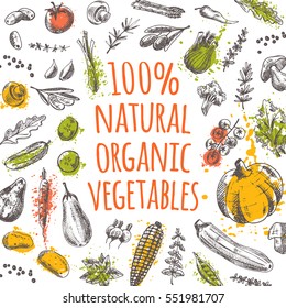 Natural organic vegetables card. Hand drawn vector illustration on the watercolor splash. Can be used for farmers market, poster, banner, placard. Carrot, zucchini, fennel, leek, lettuce, eggplant.