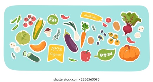 Natural organic vegetables food sticker set. Raw carrot, tomatoes, pumpkin, potatoes, olives, paprika vitamin ingredients. Various bio vegan agriculture products harvest flat vector illustration