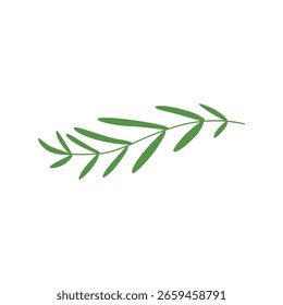Elemento de ilustración de hoja de palma natural 