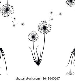 The natural pattern of dandelions