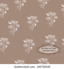 Natural pattern with filipendula ulmaria or flax.