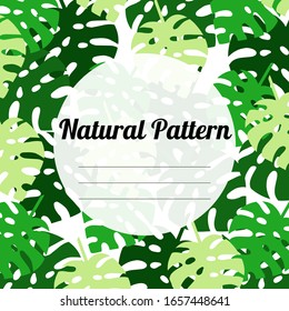 patrón natural de hojas de monstera, fondo