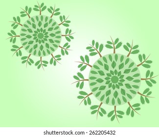 Natural pattern ornament