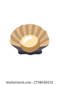 natural pearl nestled in seashell on minimal white surface